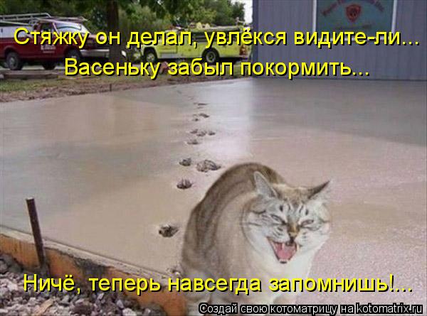 Котоматрица: Стяжку он делал, увлёкся видите-ли...  Васеньку забыл покормить...  Ничё, теперь навсегда запомнишь!...
