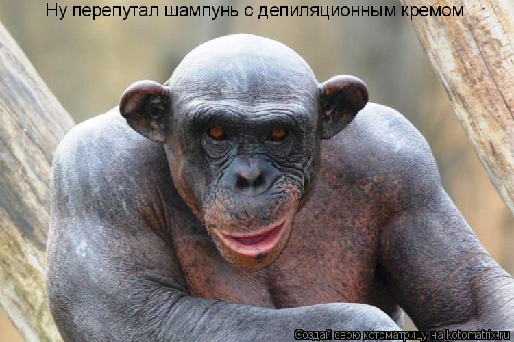Ну перепутал шампунь с депиляционным кремом... Котоматрица: Ну перепутал шампунь с депиляционным кремом
