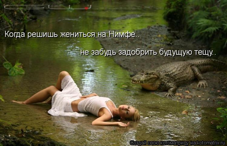 Когда решишь жениться на Нимфе.. не забудь задобрить будущую тещу..... Котоматрица: Когда решишь жениться на Нимфе.. не забудь задобрить будущую тещу..