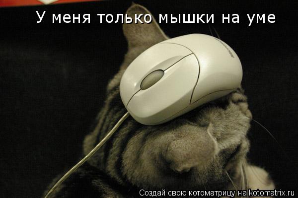 У меня только мышки на уме... Котоматрица: У меня только мышки на уме