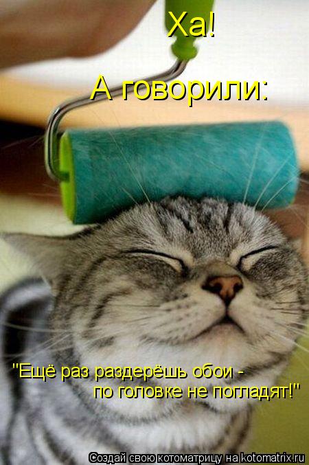 "Ещё раз раздерёшь обои - по головке не погладят!" А говорили: Ха!... Котоматрица: "Ещё раз раздерёшь обои - по головке не погладят!" А говорили: Ха!