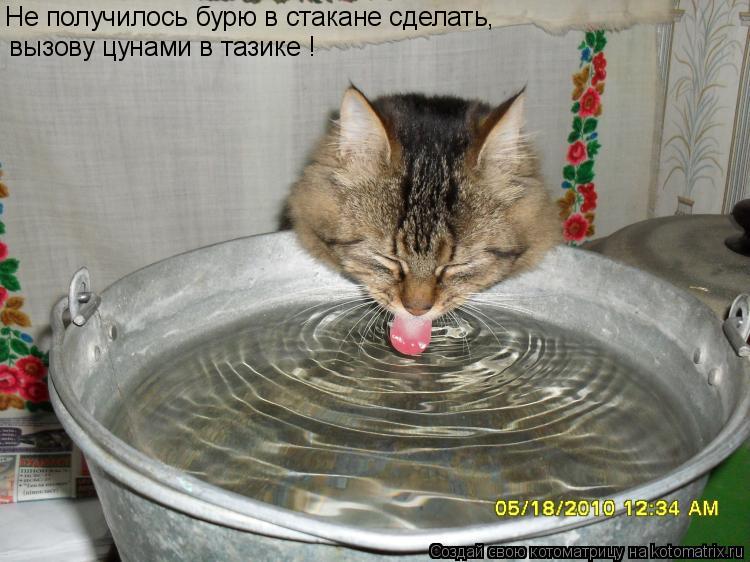 Не получилось бурю в стакане сделать, вызову цунами в тазике !... Котоматрица: Не получилось бурю в стакане сделать, вызову цунами в тазике !