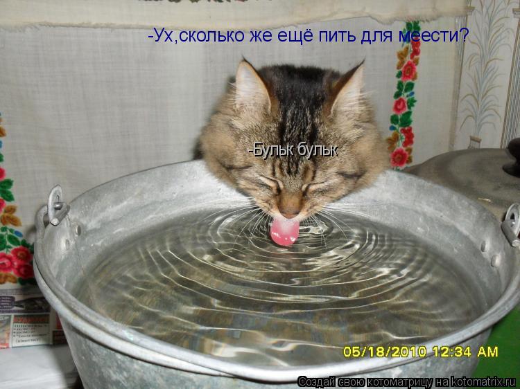 -Ух,сколько же ещё пить для меести? -Бульк бульк... Котоматрица: -Ух,сколько же ещё пить для меести? -Бульк бульк