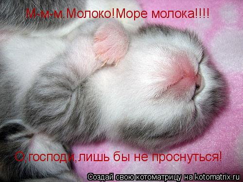 М-м-м.Молоко!Море молока!!!! О,господи,лишь бы не проснуться!... Котоматрица: М-м-м.Молоко!Море молока!!!! О,господи,лишь бы не проснуться!
