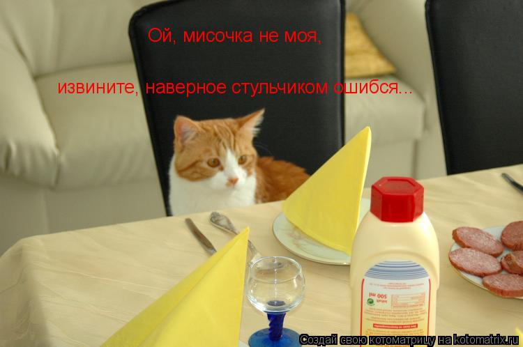 извините, наверное стульчиком ошибся... Ой, мисочка не моя,... Котоматрица: извините, наверное стульчиком ошибся... Ой, мисочка не моя,