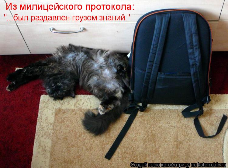 Из милицейского протокола: "...был раздавлен грузом знаний."... Котоматрица: Из милицейского протокола: "...был раздавлен грузом знаний."