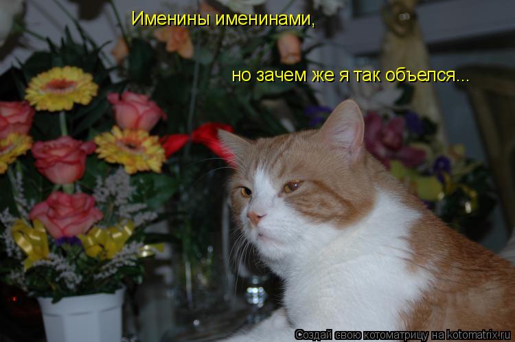 Именины именинами, но зачем же я так объелся...... Котоматрица: Именины именинами, но зачем же я так объелся...