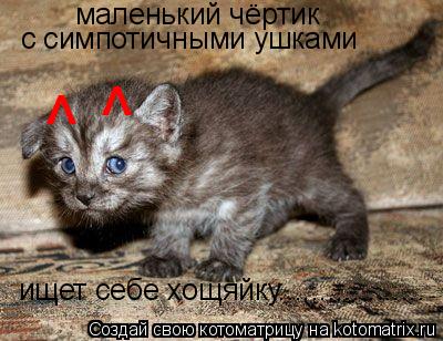 ^ ^ маленький чёртик с симпотичными ушками ищет себе хощяйку..................... Котоматрица: ^ ^ маленький чёртик с симпотичными ушками ищет себе хощяйку..................