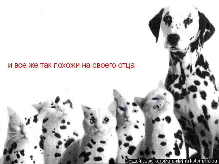 и все же так похожи на своего отца... Котоматрица: и все же так похожи на своего отца