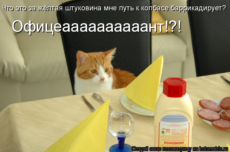 Что это за жёлтая штуковина мне путь к колбасе баррикадирует? Офицеаааааааааант!?!... Котоматрица: Что это за жёлтая штуковина мне путь к колбасе баррикадирует? Офицеаааааааааант!?!