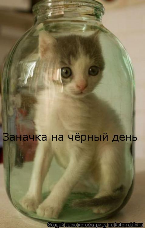 Заначка на чёрный день... Котоматрица: Заначка на чёрный день