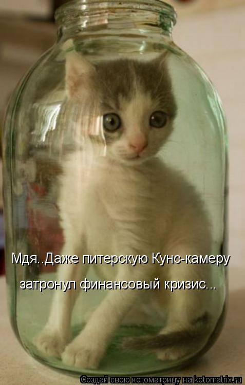 Мдя..Даже питерскую Кунс-камеру затронул финансовый кризис...... Котоматрица: Мдя..Даже питерскую Кунс-камеру затронул финансовый кризис...