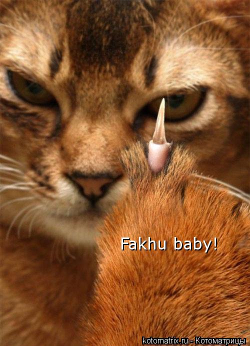 Fakhu baby!... Котоматрица: Fakhu baby!