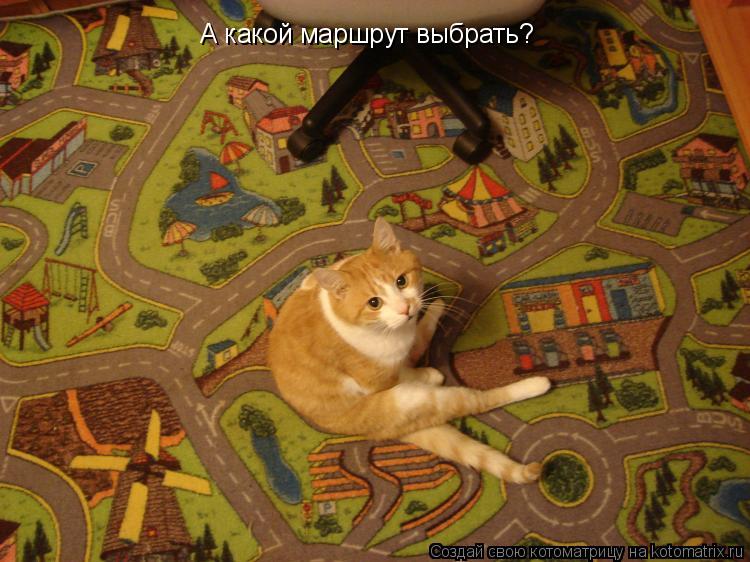 А какой маршрут выбрать?... Котоматрица: А какой маршрут выбрать?