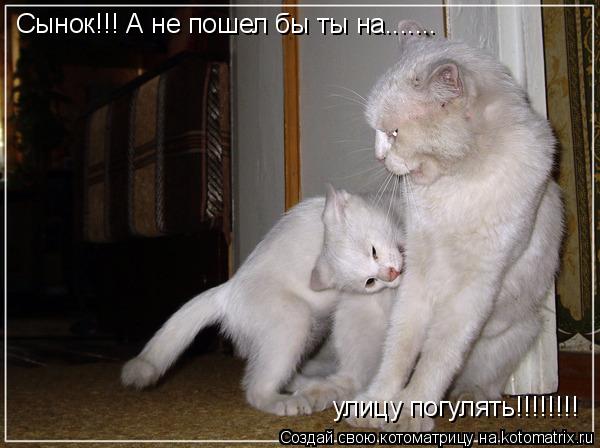 Котоматрица: Сынок!!! А не пошел бы ты на....... улицу погулять!!!!!!!!