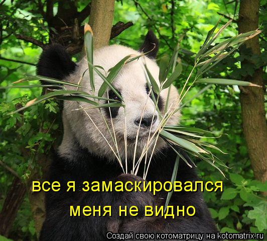 все я замаскировался меня не видно... Котоматрица: все я замаскировался меня не видно