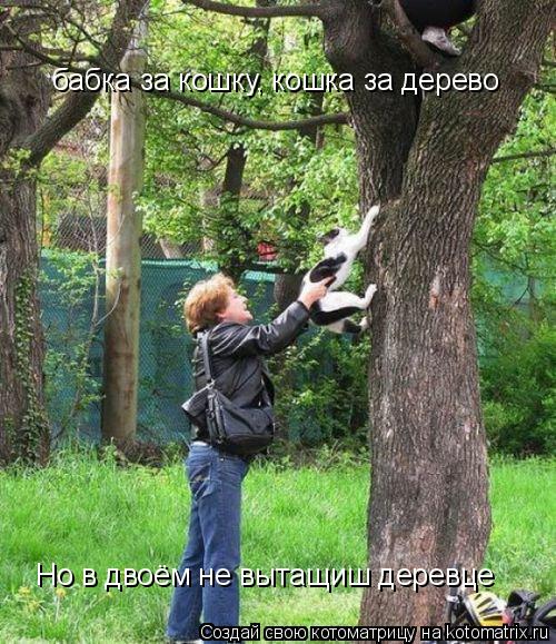 Котоматрица: бабка за кошку, кошка за дерево Но в двоём не вытащиш деревце