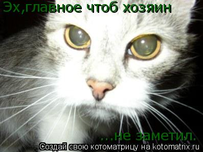 Эх,главное чтоб хозяин ...не заметил.... Котоматрица: Эх,главное чтоб хозяин ...не заметил.