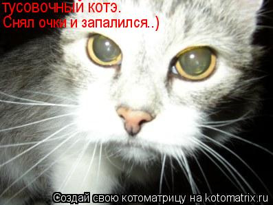 тусовочный котэ. Снял очки и запалился..)... Котоматрица: тусовочный котэ. Снял очки и запалился..)