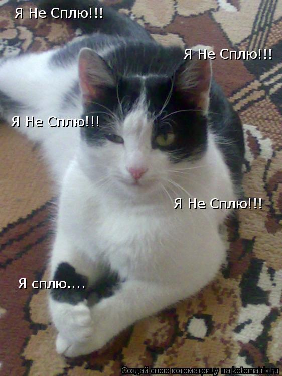 Я Не Сплю!!! Я Не Сплю!!! Я Не Сплю!!! Я Не Сплю!!! Я сплю....... Котоматрица: Я Не Сплю!!! Я Не Сплю!!! Я Не Сплю!!! Я Не Сплю!!! Я сплю....