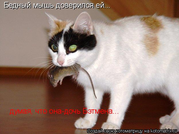 Бедный мышь доверился ей... думая, что она-дочь Бэтмена...... Котоматрица: Бедный мышь доверился ей... думая, что она-дочь Бэтмена...