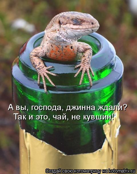 А вы, господа, джинна ждали? Так и это, чай, не кувшин!... Котоматрица: А вы, господа, джинна ждали? Так и это, чай, не кувшин!