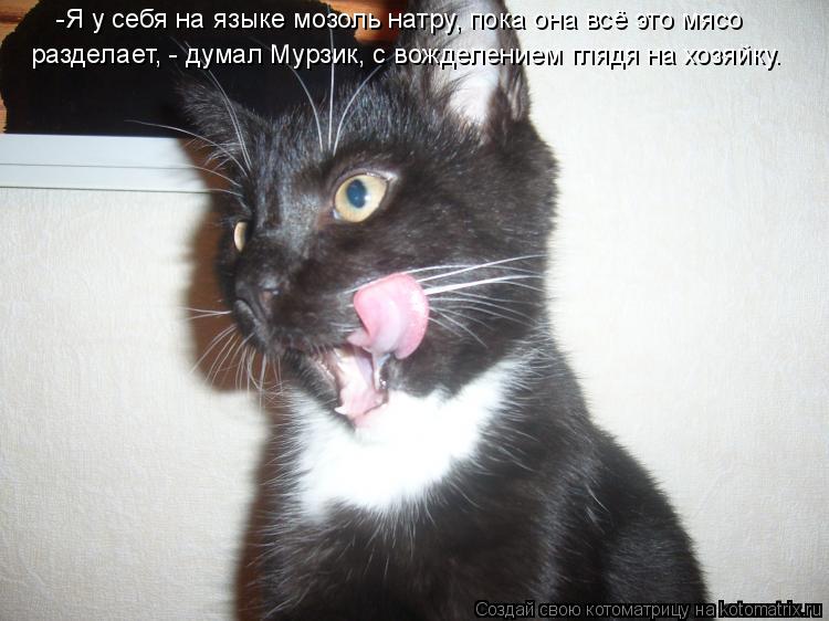 Котоматрица: -Я у себя на языке мозоль натру, пока она всё это мясо  разделает, - думал Мурзик, с вожделением глядя на хозяйку.