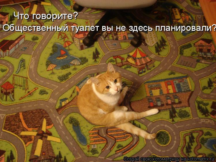 Что говорите? Общественный туалет вы не здесь планировали?... Котоматрица: Что говорите? Общественный туалет вы не здесь планировали?