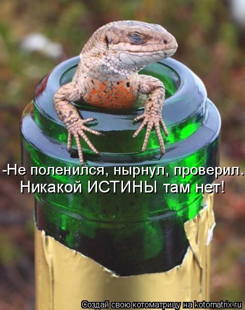 Никакой ИСТИНЫ там нет! -Не поленился, нырнул, проверил.... Котоматрица: Никакой ИСТИНЫ там нет! -Не поленился, нырнул, проверил.
