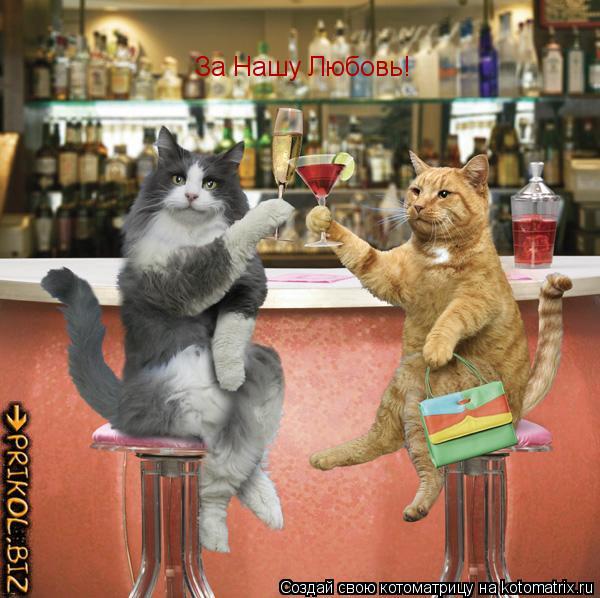 За Нашу Любовь!... Котоматрица: За Нашу Любовь!