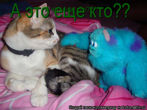 А это еще кто?? А это еще кто??... Котоматрица: А это еще кто?? А это еще кто??