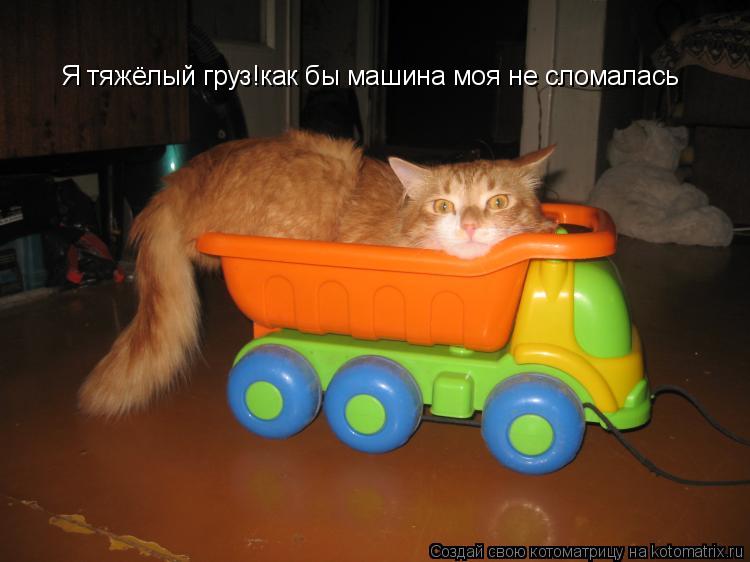 Я тяжёлый груз!как бы машина моя не сломалась... Котоматрица: Я тяжёлый груз!как бы машина моя не сломалась
