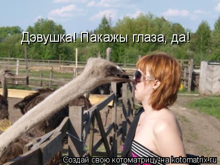 Дэвушка! Пакажы глаза, да! Дэвушка! Пакажы глаза, да!... Котоматрица: Дэвушка! Пакажы глаза, да! Дэвушка! Пакажы глаза, да!