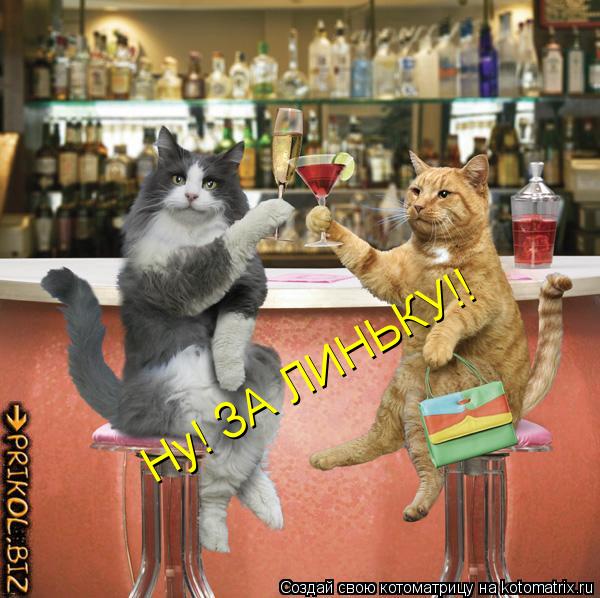 Ну! ЗА ЛИНЬКУ!!... Котоматрица: Ну! ЗА ЛИНЬКУ!!