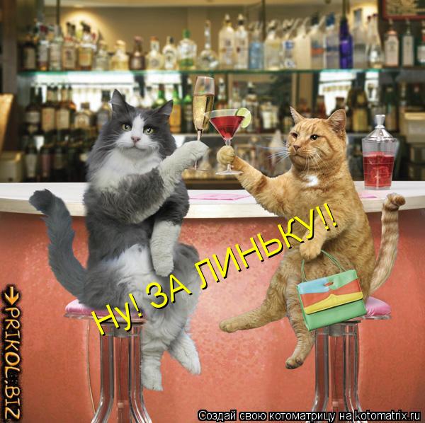 Ну! ЗА ЛИНЬКУ!!... Котоматрица: Ну! ЗА ЛИНЬКУ!!