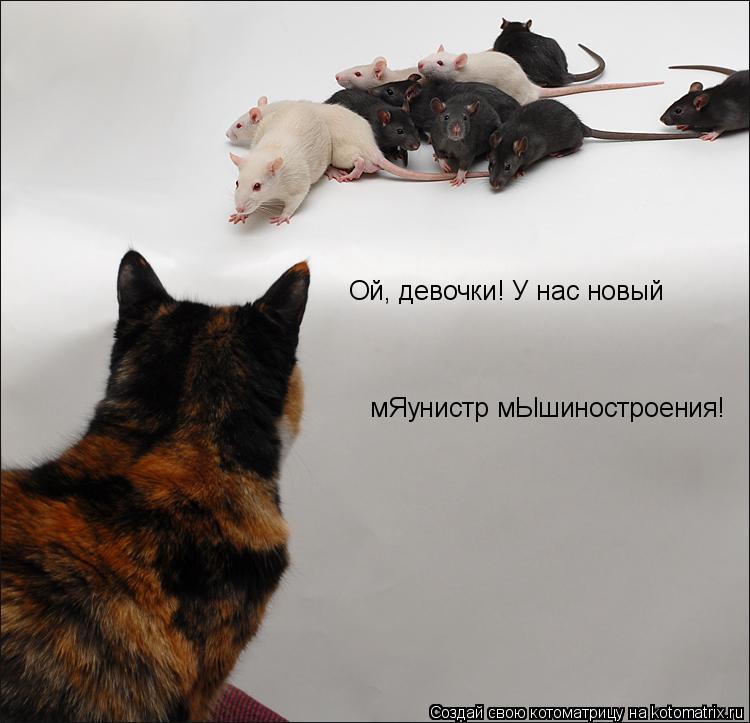 Ой, девочки! У нас новый мЯунистр мЫшиностроения!... Котоматрица: Ой, девочки! У нас новый мЯунистр мЫшиностроения!