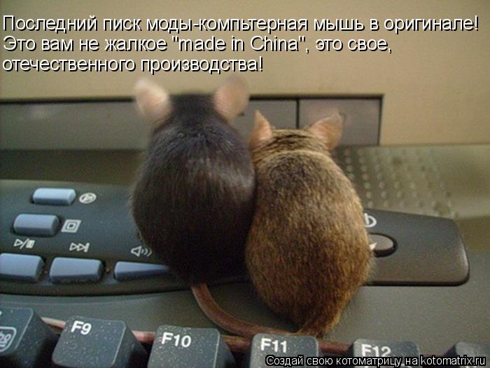 Последний писк моды-компьтерная мышь в оригинале! Это вам не жалкое "made in China", это свое, отечес... Котоматрица: Последний писк моды-компьтерная мышь в оригинале! Это вам не жалкое "made in China", это свое, отечественного производства!