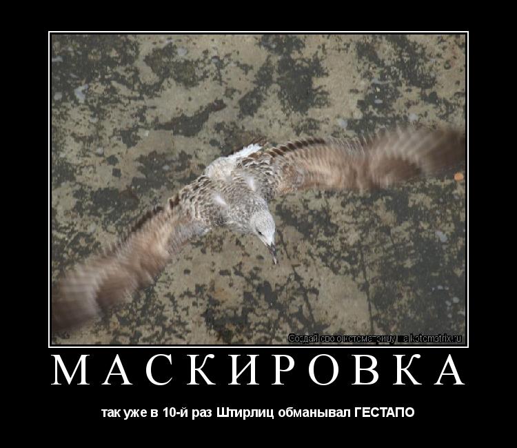 маскировка так уже в 10-й раз Штирлиц обманывал ГЕСТАПО... Котоматрица: маскировка так уже в 10-й раз Штирлиц обманывал ГЕСТАПО