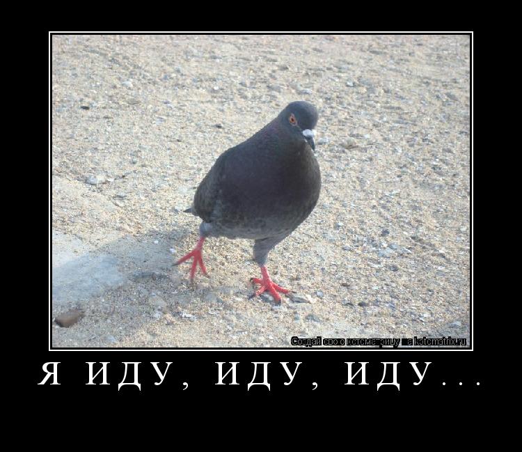 Я ИДУ, иду, ИДУ... ... Котоматрица: Я ИДУ, иду, ИДУ...
