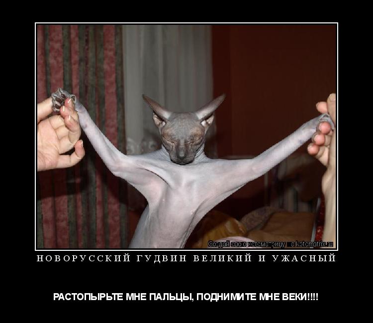 НОВОРУССКИЙ ГУДВИН ВЕЛИКИЙ И УЖАСНЫЙ РАСТОПЫРЬТЕ МНЕ ПАЛЬЦЫ, ПОДНИМИТЕ МНЕ ВЕКИ!!!!... Котоматрица: НОВОРУССКИЙ ГУДВИН ВЕЛИКИЙ И УЖАСНЫЙ РАСТОПЫРЬТЕ МНЕ ПАЛЬЦЫ, ПОДНИМИТЕ МНЕ ВЕКИ!!!!