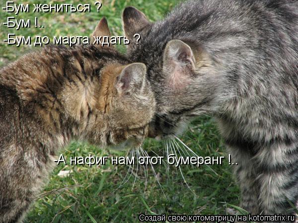 -Бум жениться ? -А нафиг нам этот бумеранг !.. -Бум до марта ждать ? -Бум !..... Котоматрица: -Бум жениться ? -А нафиг нам этот бумеранг !.. -Бум до марта ждать ? -Бум !..