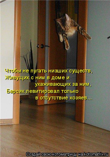 Чтобы не пугать низших существ, Живущих с ним в доме и ухаживающих за ним, Барсик левитировал только... Котоматрица: Чтобы не пугать низших существ, Живущих с ним в доме и ухаживающих за ним, Барсик левитировал только в отсутствие хозяев...