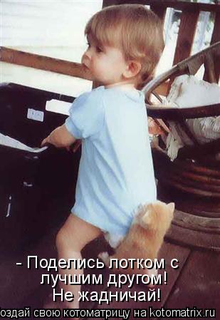 - Поделись лотком с лучшим другом! Не жадничай!... Котоматрица: - Поделись лотком с лучшим другом! Не жадничай!