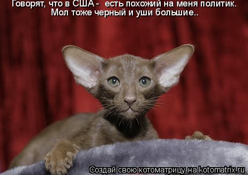 Говорят, что в США - есть похожий на меня политик. Мол тоже черный и уши большие..... Котоматрица: Говорят, что в США - есть похожий на меня политик. Мол тоже черный и уши большие..