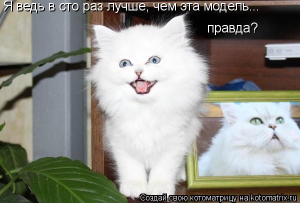 Я ведь в сто раз лучше, чем эта модель... правда?... Котоматрица: Я ведь в сто раз лучше, чем эта модель... правда?