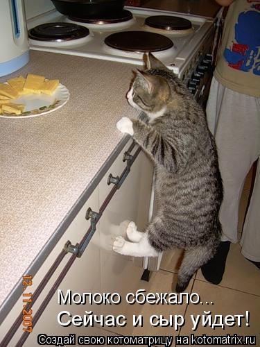 Молоко сбежало... Сейчас и сыр уйдет!... Котоматрица: Молоко сбежало... Сейчас и сыр уйдет!