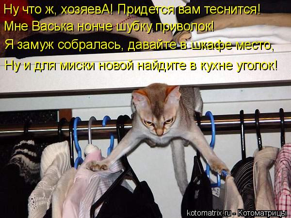 Ну что ж, хозяевА! Придется вам теснится! Мне Васька нонче шубку приволок! Я замуж собралась, давайте... Котоматрица: Ну что ж, хозяевА! Придется вам теснится! Мне Васька нонче шубку приволок! Я замуж собралась, давайте в шкафе место, Ну и для миски новой найд