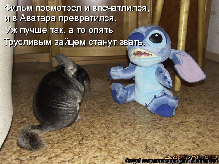 Фильм посмотрел и впечатлился, и в Аватара превратился. Уж лучше так, а то опять Трусливым зайцем ста... Котоматрица: Фильм посмотрел и впечатлился, и в Аватара превратился. Уж лучше так, а то опять Трусливым зайцем станут звать.