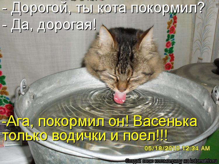 Котоматрица: - Дорогой, ты кота покормил? - Да, дорогая! -Ага, покормил он! Васенька только водички и поел!!!