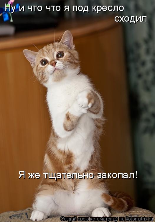 Котоматрица: Ну и что что я под кресло  сходил  Я же тщательно закопал!